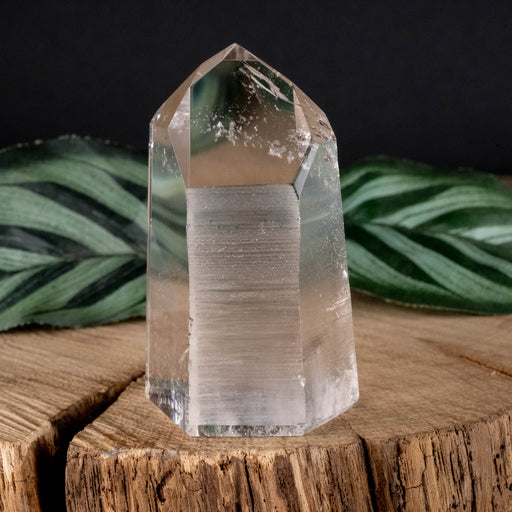 Lemurian Seed Crystal Polished Point 90 g 60x32mm - InnerVision Crystals