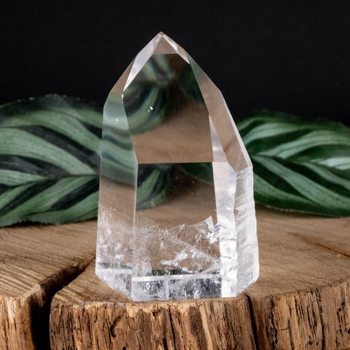 Lemurian Seed Crystal Polished Point 91 g 59x39mm - InnerVision Crystals