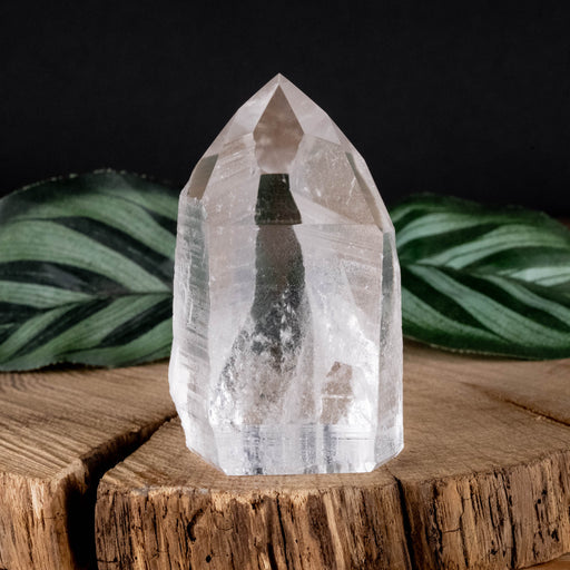 Lemurian Seed Crystal Polished Point 95 g 59x36mm - InnerVision Crystals