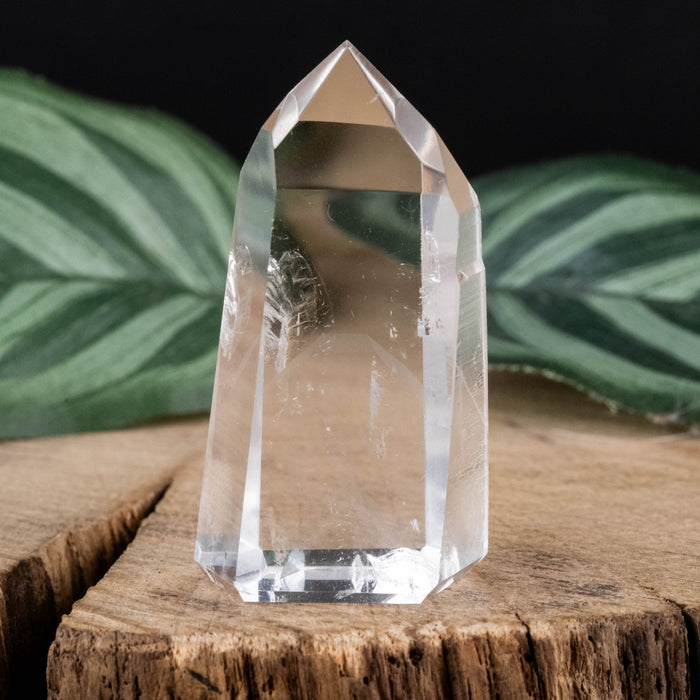 Lemurian Seed Crystal w/ Phantom 19 g 40x21mm - InnerVision Crystals