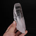 Lemurian Seed Crystal w/ Phantom 576 g 155x55mm DT - InnerVision Crystals