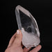 Lemurian Seed Crystal w/ Phantom 576 g 155x55mm DT - InnerVision Crystals