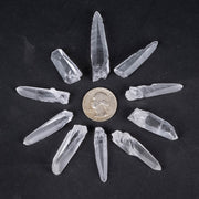Lemurian Seed Crystals Small 10 pc lot - InnerVision Crystals