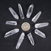 Lemurian Seed Crystals Small 10 pc lot - InnerVision Crystals