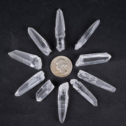 Lemurian Seed Crystals Small 10 pc lot - InnerVision Crystals