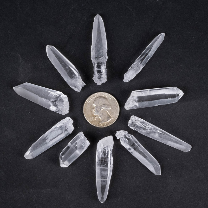 Lemurian Seed Crystals Small 10 pc lot - InnerVision Crystals