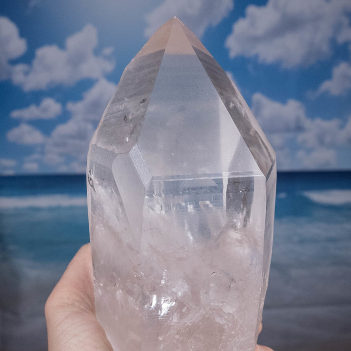 Lemurian Seed Quartz Crystal 1935 g 8"x3.6" - InnerVision Crystals