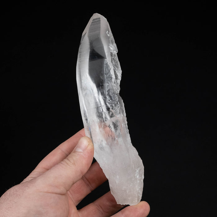 Lemurian Seed Quartz Crystal 307 g 168x39mm - InnerVision Crystals