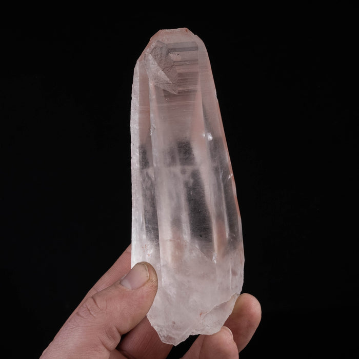 Lemurian Seed Quartz Crystal 370 g 131x50mm *DING - InnerVision Crystals