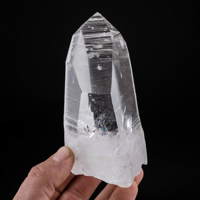 Lemurian Seed Quartz Crystal 564 g 127x69mm - InnerVision Crystals