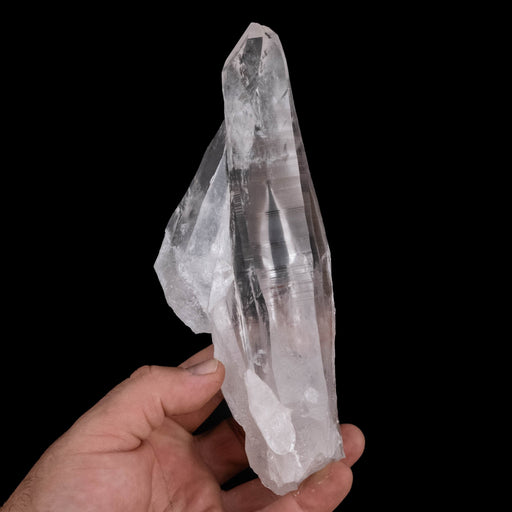 Lemurian Seed Quartz Crystal 572 g 191x68mm - InnerVision Crystals