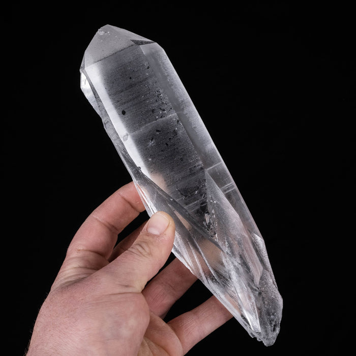 Lemurian Seed Quartz Crystal 666 g 215x52mm *DING - InnerVision Crystals