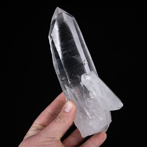 Lemurian Seed Quartz Crystal 694 g 191x69mm *DING - InnerVision Crystals