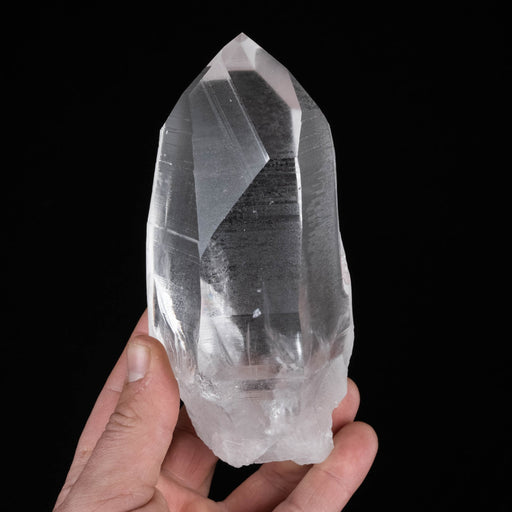 Lemurian Seed Quartz Crystal 824 g 152x66mm - InnerVision Crystals