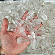 Lemurian Seed Quartz Crystals 100 Gram Lot (7 - 12 crystals) - InnerVision Crystals