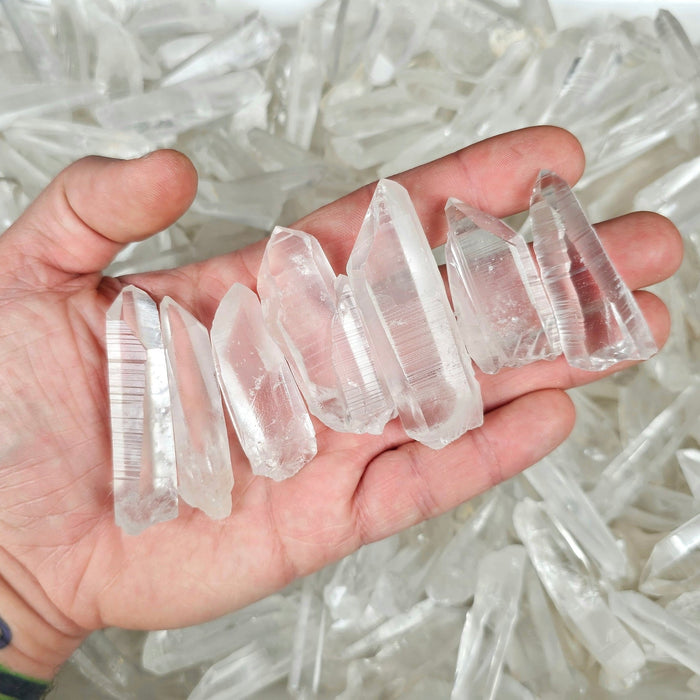 Lemurian Seed Quartz Crystals 100 Gram Lot (6 - 10 crystals) - InnerVision Crystals