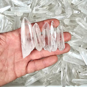 Lemurian Seed Quartz Crystals 100 Gram Lot (7 - 12 crystals) - InnerVision Crystals