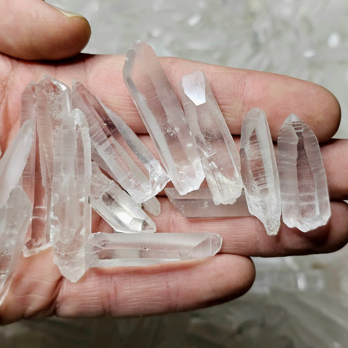 Lemurian Seed Quartz Crystals BRAZIL XS 1" - 2"+ | WHOLESALE - InnerVision Crystals