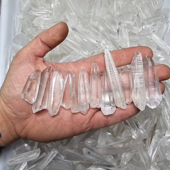 Lemurian Seed Quartz Crystals BRAZIL XS 1" - 2"+ | WHOLESALE - InnerVision Crystals
