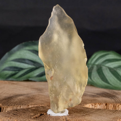 Libyan Desert Glass 24.33 g 67x27x15mm - InnerVision Crystals