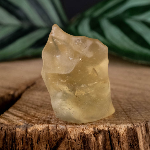 Libyan Desert Glass 5.41 g 26x16x15mm - InnerVision Crystals