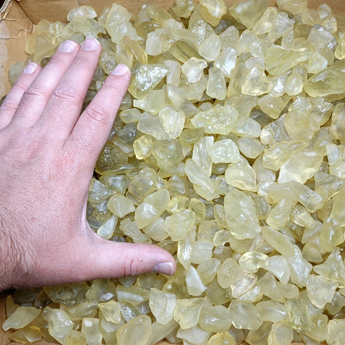 Libyan Desert Glass 1 - 20 grams - InnerVision Crystals