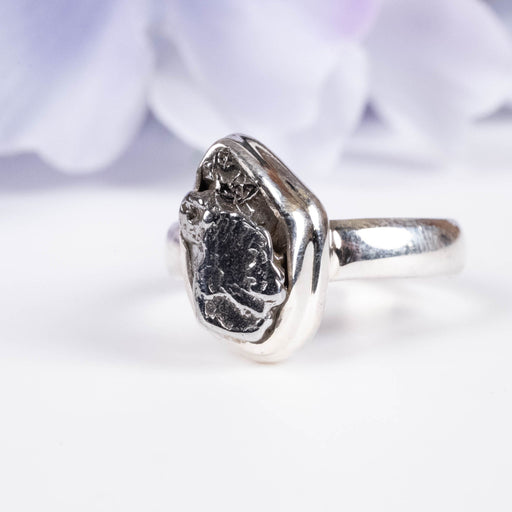 Meteorite Ring 13x7mm Size 6.5 - InnerVision Crystals