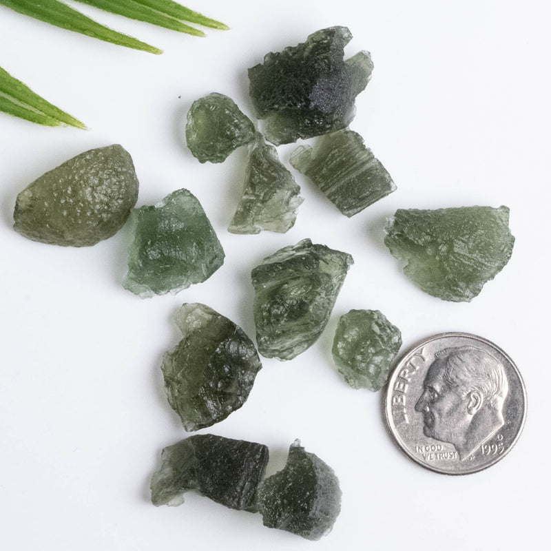 Moldavite Lot Small Top Quality 1 g and under | Wholesale Lot - InnerVision Crystals