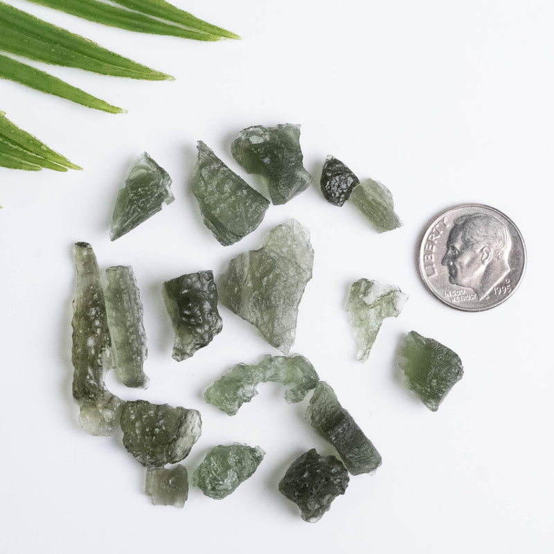 Moldavite Lot Small Top Quality 1 g and under | Wholesale Lot - InnerVision Crystals