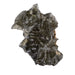 Moldavite 1.35 g 16x12x8mm - InnerVision Crystals