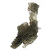 Moldavite 16.97 g 78x30x5mm Angel Chime - Nesmen Forest - InnerVision Crystals