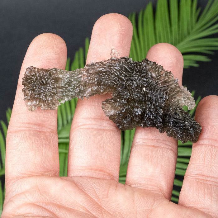 Moldavite 16.97 g 78x30x5mm Angel Chime - Nesmen Forest - InnerVision Crystals