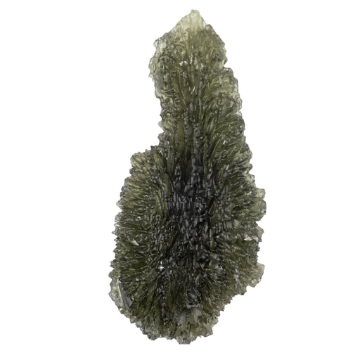 Moldavite 17.15 g 60x27x12mm Nesmen Forest - InnerVision Crystals