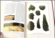 Moldavite : Mysterious Tears from Heaven BOOK - InnerVision Crystals