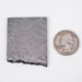 Muonionalusta Meteorite 33.78 g 45x36x2mm - InnerVision Crystals