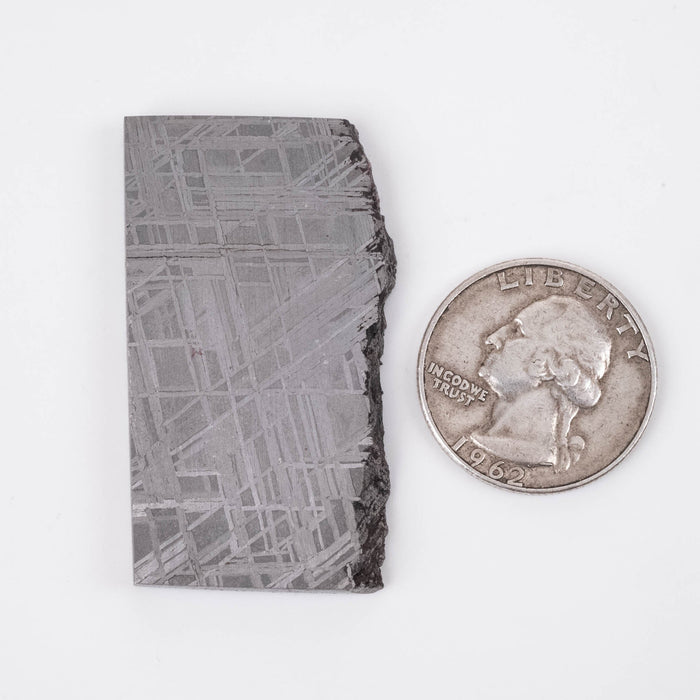 Muonionalusta Meteorite 38.89 g 48x27x4mm - InnerVision Crystals