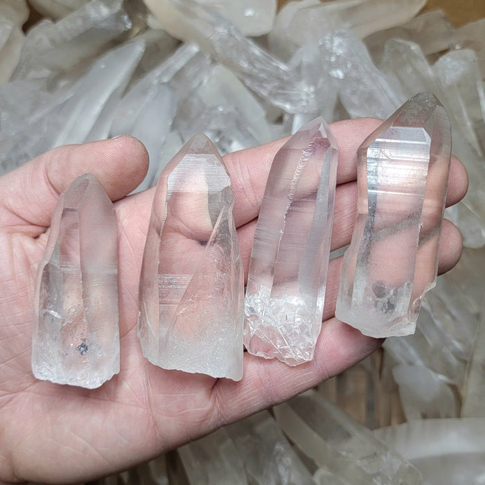 NEW Lemurian Seed Quartz Crystals BRAZIL 1 Kilo Mixed Lot w/ Dings | WHOLESALE CLEARANCE - InnerVision Crystals