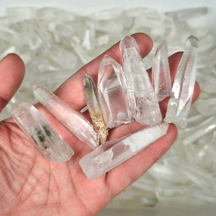 NEW Lemurian Seed Quartz Crystals PHANTOMS - BRAZIL 1.5" - 3"+ | 1 Kilo WHOLESALE - InnerVision Crystals