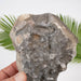 Phenakite 880 g 135x108x55mm XL Crystal - InnerVision Crystals