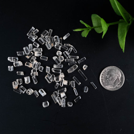 Phenakite Lot 5 g 3mm - 7mm - InnerVision Crystals