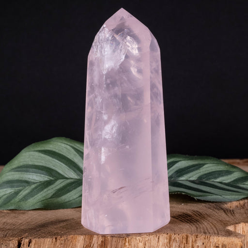 Rose Quartz Polished Point 213 g 104x43mm - InnerVision Crystals