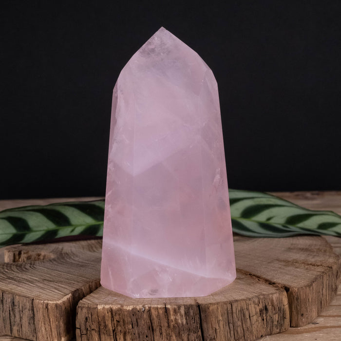 Rose Quartz Polished Point 261 g 100x53mm - InnerVision Crystals