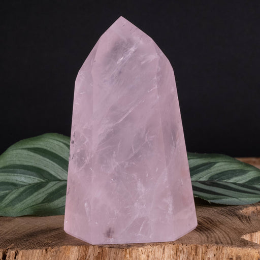 Rose Quartz Polished Point 282 g 92x56mm - InnerVision Crystals