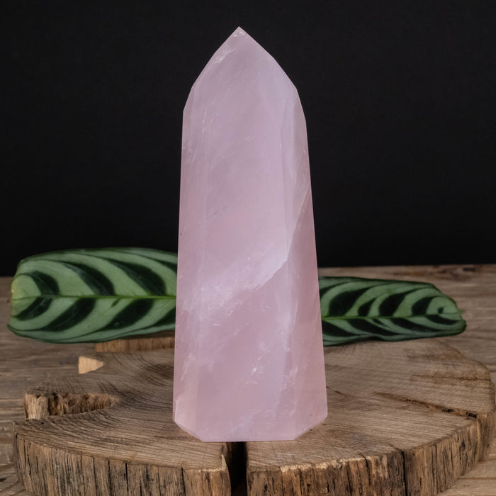 Rose Quartz Polished Point 306 g 120x46mm - InnerVision Crystals