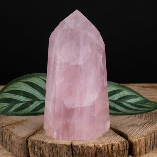 Rose Quartz Polished Point 356 g 103x56mm - InnerVision Crystals