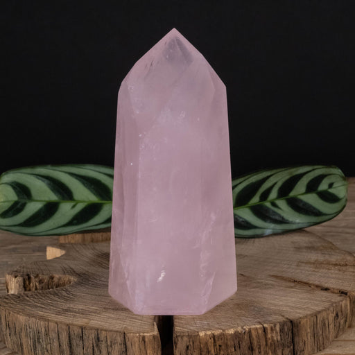 Rose Quartz Polished Point 357 g 109x54mm - InnerVision Crystals