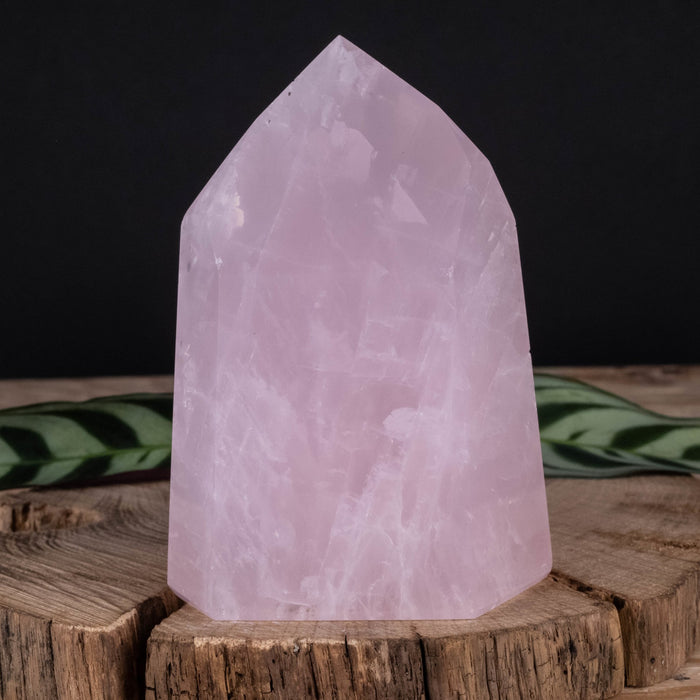 Rose Quartz Polished Point 451 g 97x68mm - InnerVision Crystals