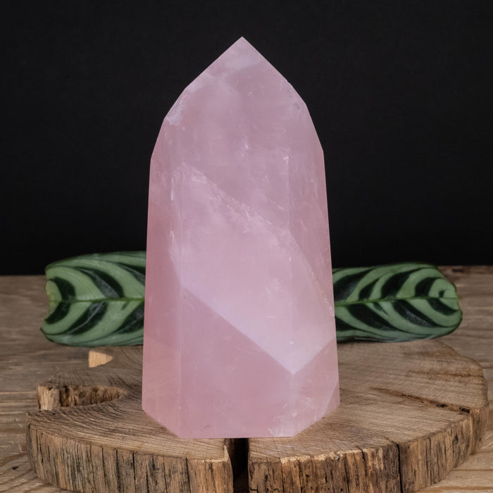 Rose Quartz Polished Point 565 g 120x63mm - InnerVision Crystals
