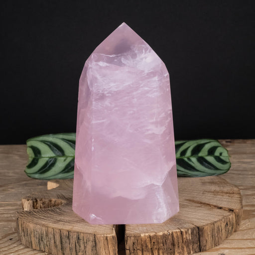 Rose Quartz Polished Point 627 g 123x68mm - InnerVision Crystals