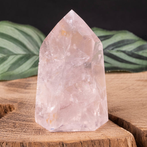 Rose Quartz Polished Point 71 g 56x36mm - InnerVision Crystals